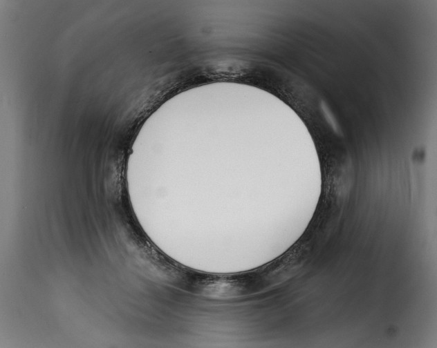 X0000115230460200911201601