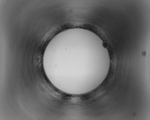 X0000115230462200911201601