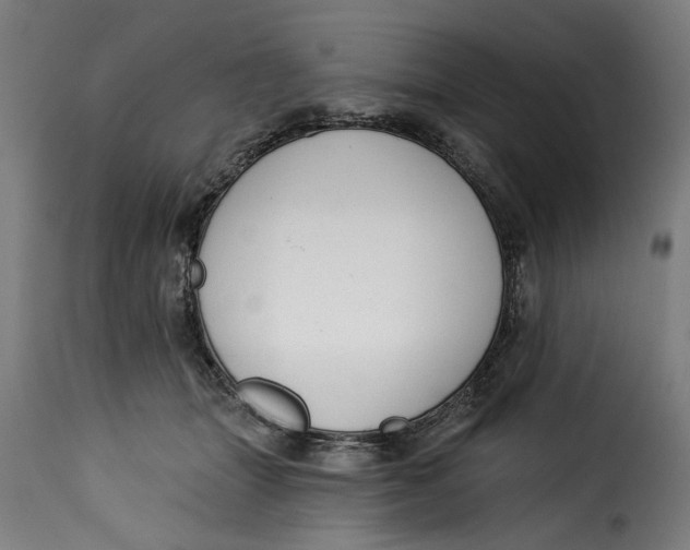 X0000115230463200911201601