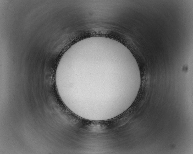 X0000115230464200911201601