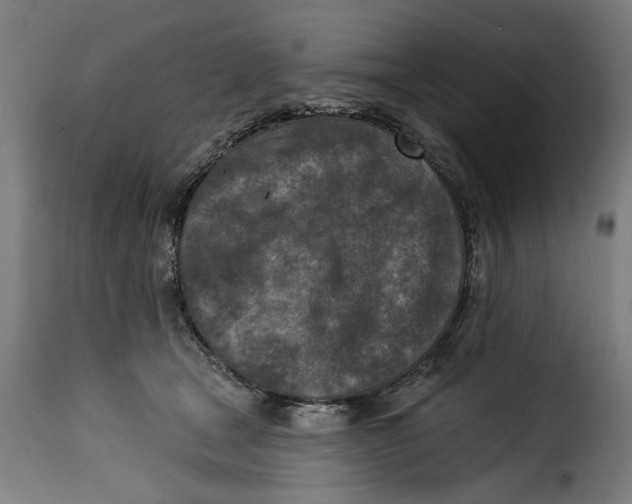 X0000115230465200911201601