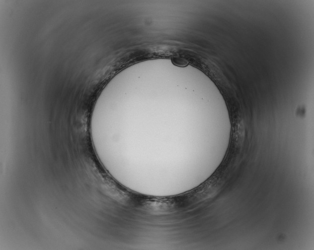 X0000115230466200911201601