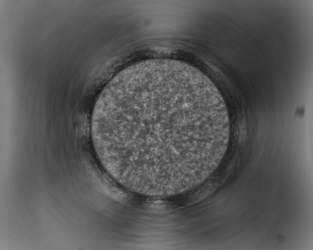 X0000115230467200911201601