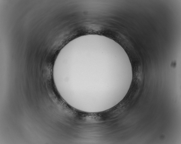 X0000115230468200911201601