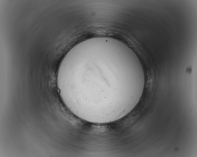 X0000115230469200911201601