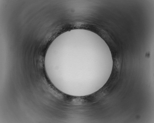 X0000115230470200911201601