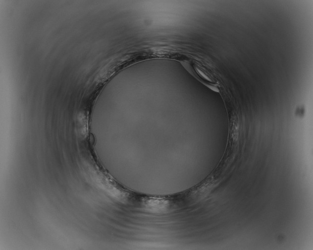 X0000115230471200911201601