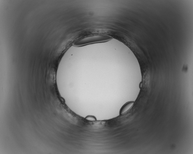 X0000115230474200911201601