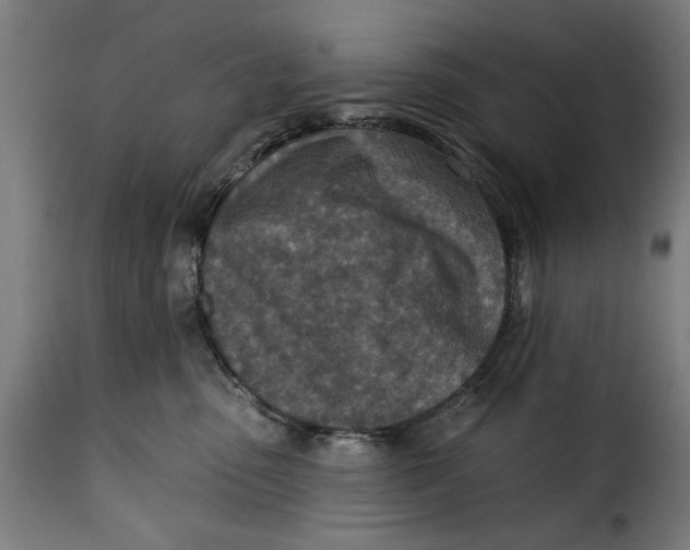 X0000115230475200911201601