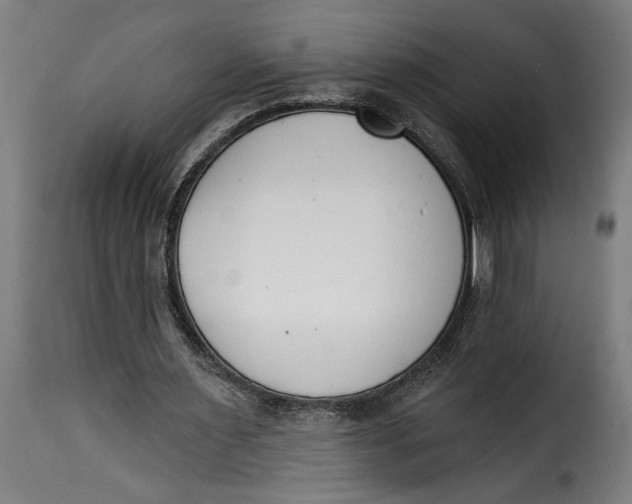 X0000115230483200911201601