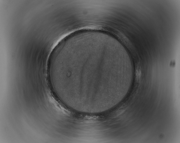 X0000115230484200911201601