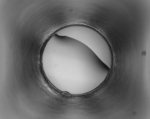 X0000115230485200911201601