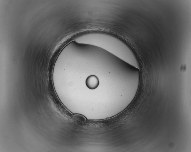 X0000115230488200911201601