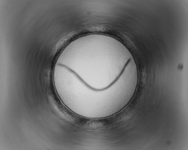 X0000115230491200911201601