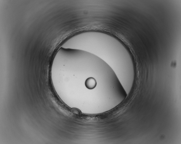 X0000115230493200911201601