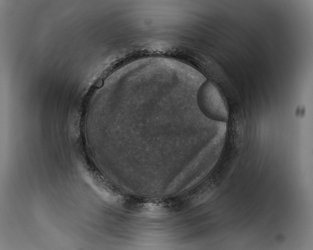 X0000115230496200911201601