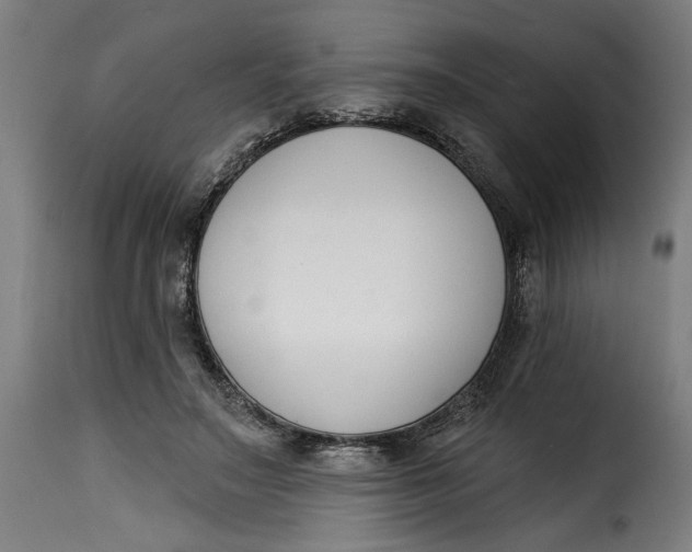 X0000115230499200911201601