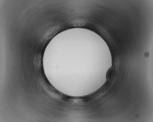 X0000115230501200911201600