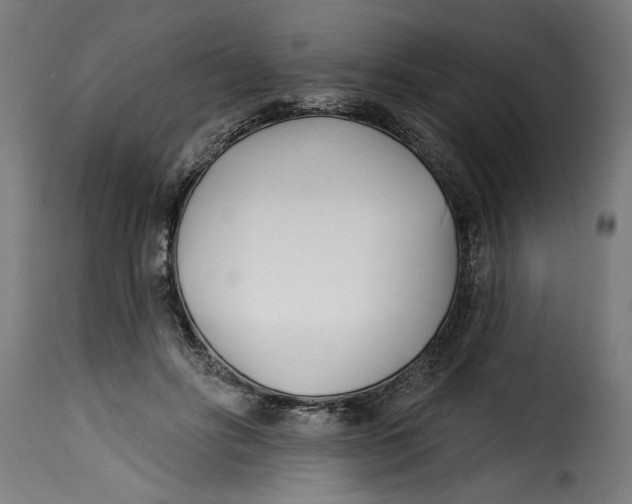 X0000115230502200911201600