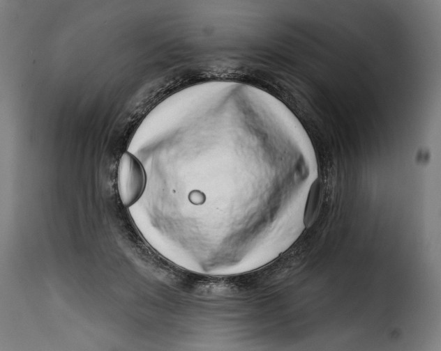 X0000115230503200911201600