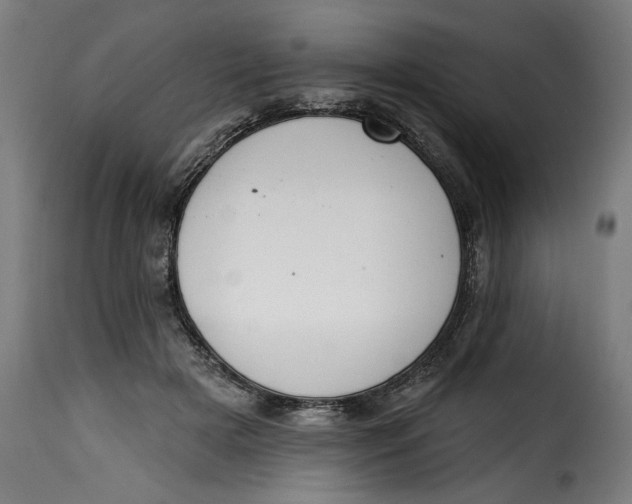 X0000115230505200911201600