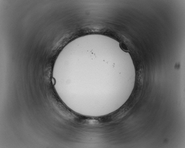 X0000115230509200911201600