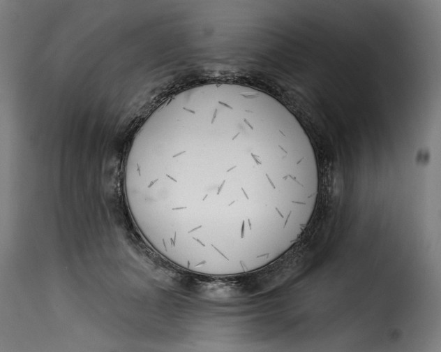 X0000115230511200911201600