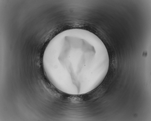 X0000115230512200911201600