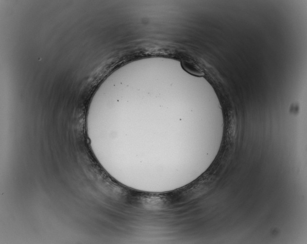 X0000115230513200911201600