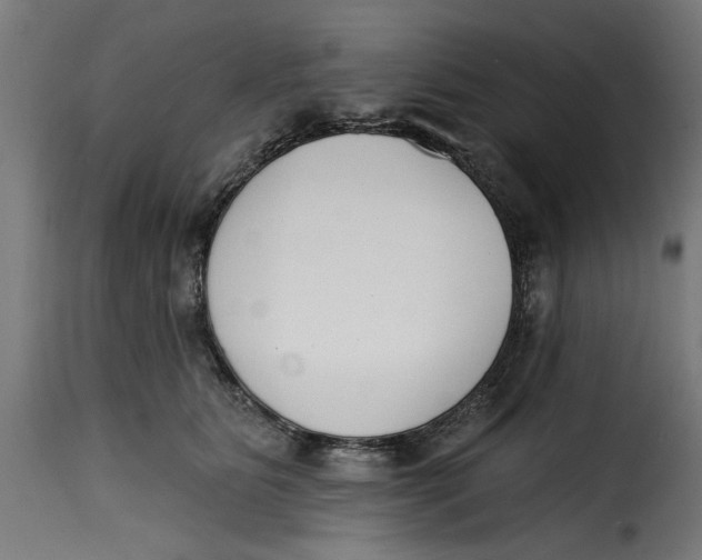 X0000115230515200911201600