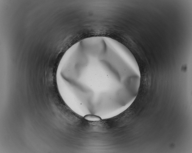 X0000115230516200911201600