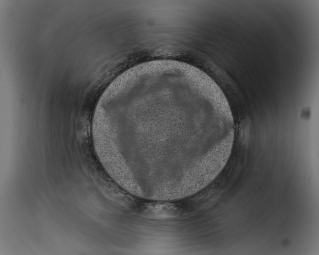 X0000115230517200911201600