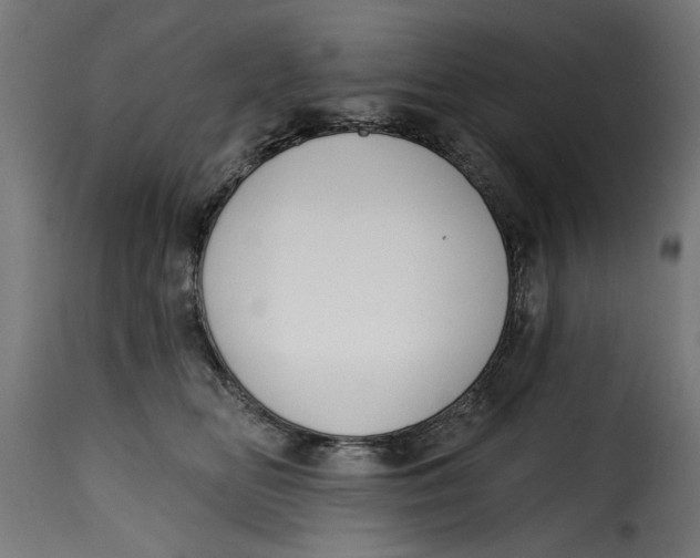 X0000115230518200911201600