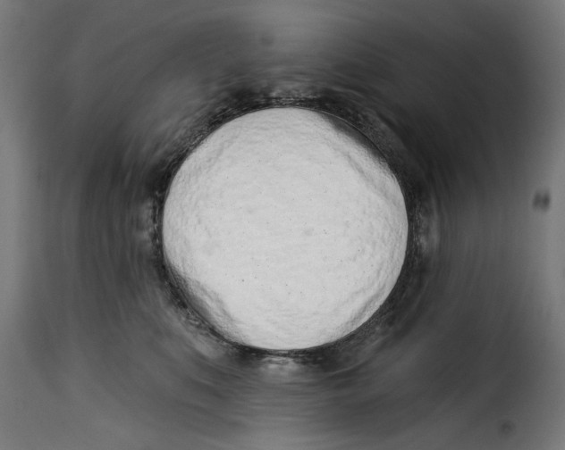 X0000115230519200911201600