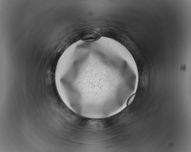 X0000115230520200911201600