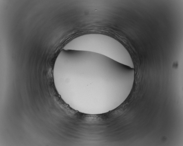 X0000115230521200911201600