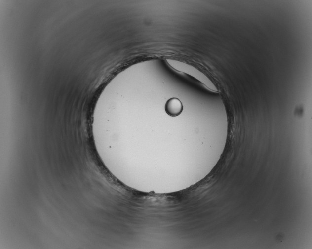 X0000115230524200911201600