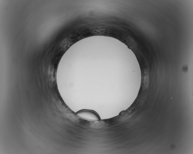 X0000115230525200911201600