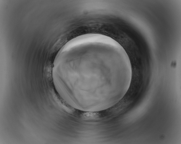 X0000115230526200911201600