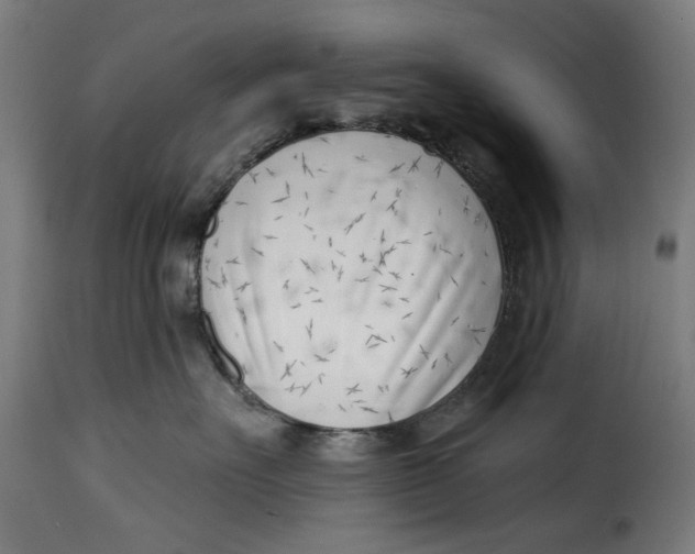 X0000115230527200911201600