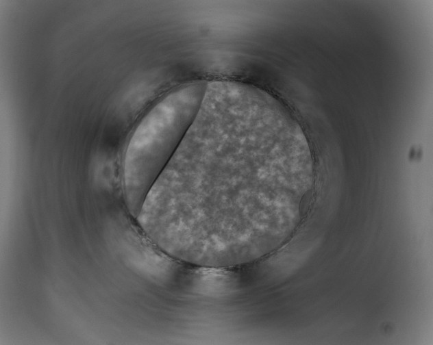 X0000115230528200911201600