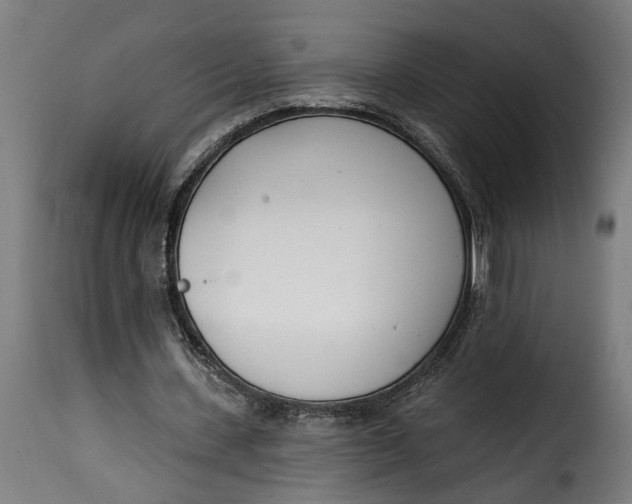 X0000115230531200911201559