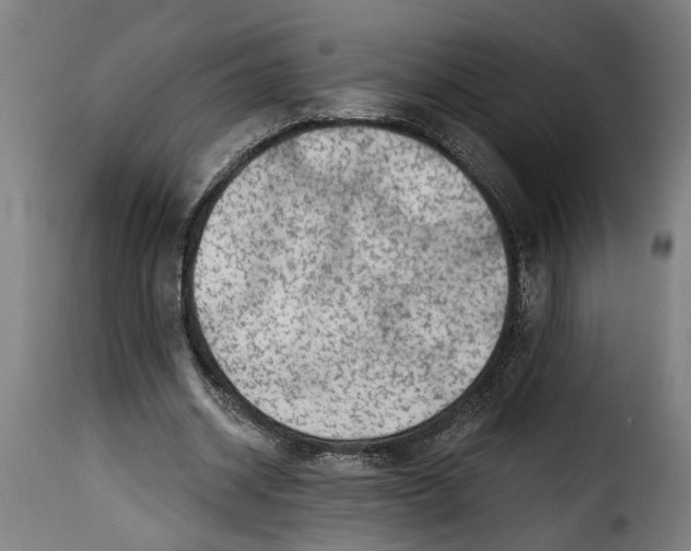 X0000115230534200911201559