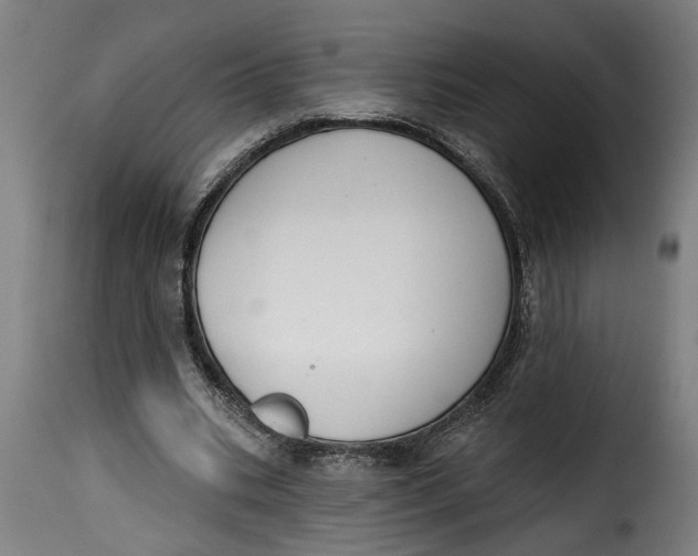 X0000115230535200911201559