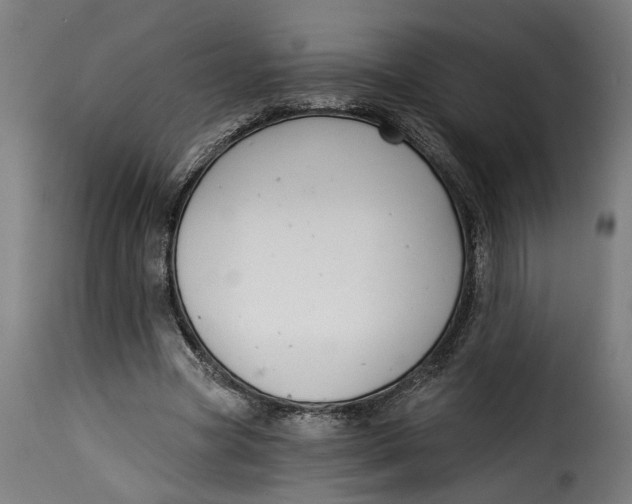 X0000115230537200911201559