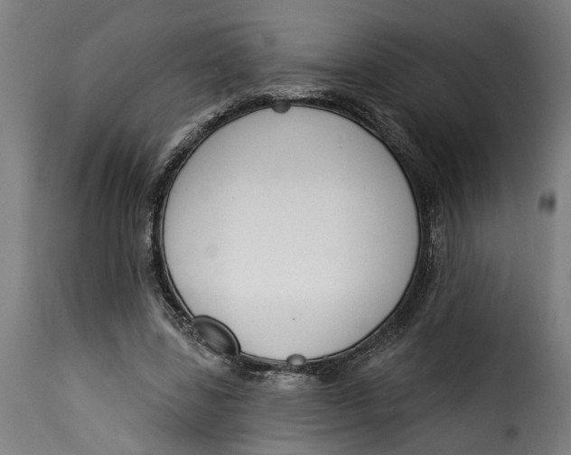 X0000115230539200911201600