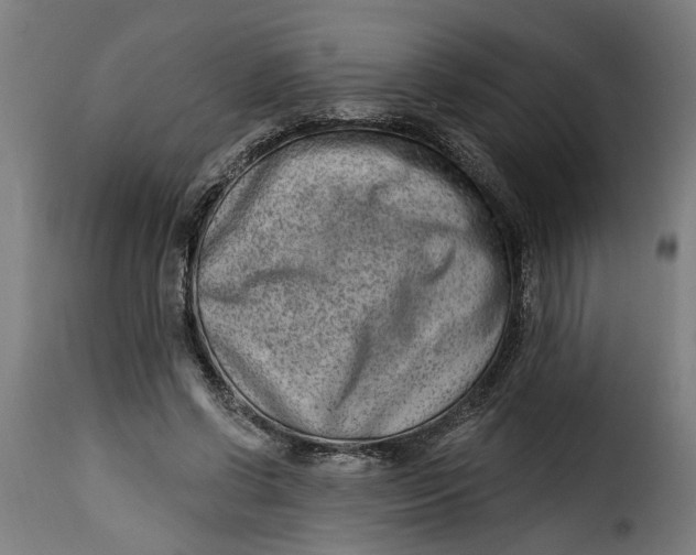 X0000115230542200911201600