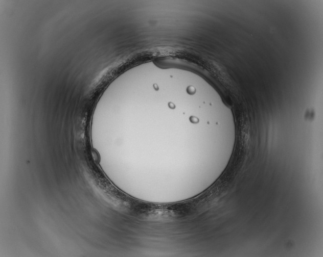 X0000115230543200911201600