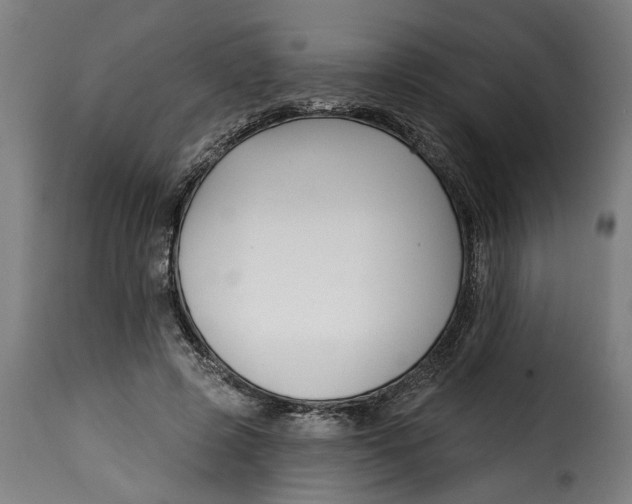 X0000115230545200911201600