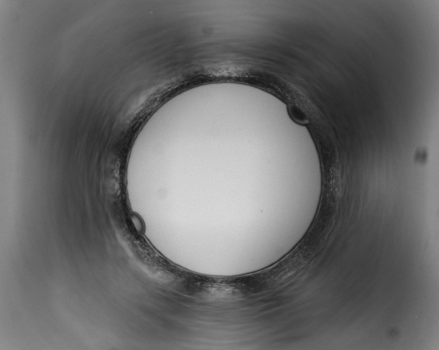 X0000115230547200911201600